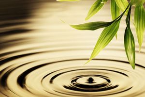 Mindfulness - Do you know how to think mindfully?