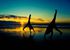 Energy management for personal health and well-being