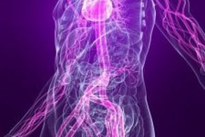  What happens in the body when we experience anxiety
