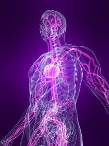 What happens in the body when we experience anxiety