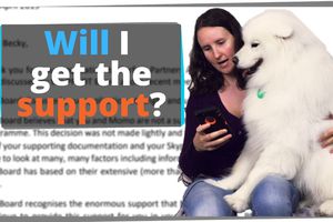 PTSD Service Dog (THE RESULT)